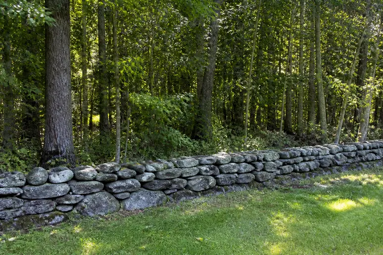 Muret bas en pierre sèche longeant une lisière de forêt dense, sans fondations apparentes.