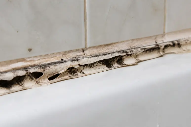 Joint en silicone noirci par la moisissure et décollé sur les bords d'une baignoire.